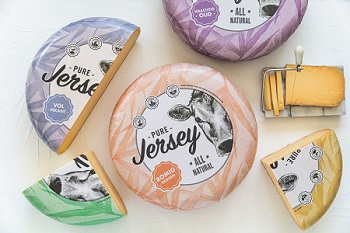 Jersey Gouda cheese Jersey Gouda cheese
